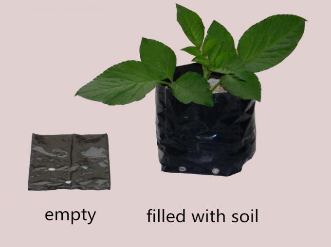 HDPE Polyethylene 14cm Plastic Grow Bags Quince Seedling Poly Bags