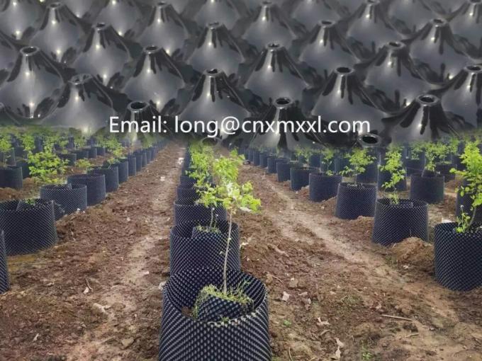 150gsm Eco Friendly 1000N Plastic Weed Mat Heavy Duty Windbreak Netting