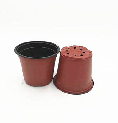 Cheapest disposable double color flower pot for greenhouse and garden