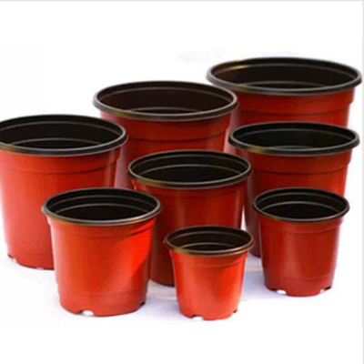 Degradable Polymers Blister Small Plastic Flower Pots For Plant