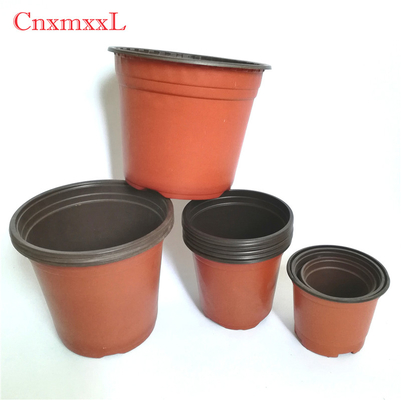 Greenhouse Using Bicolored Small Plastic Flower Nursery Pots For Seeds