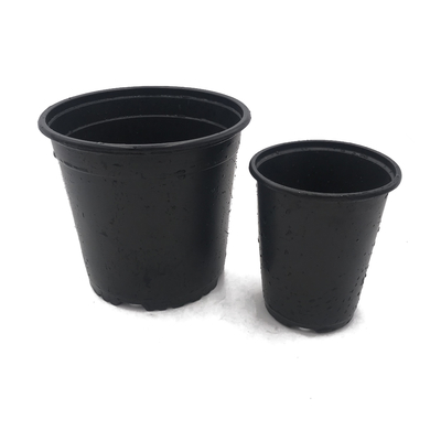 Light And Soft Black Double Color Plastic Flower Pots Chive Shoot Seedling Nutrition Pot
