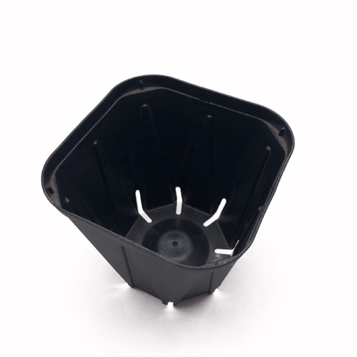 Durable whole sales  black plastic seedling pot small square shape nursery pot
