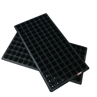 Convenient Eco Friendly Adenium Seeds Taiwan Seed Tray Plastic Seedling Tray