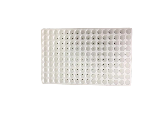 50/120/160/200 Hole Floating Seedling Tray for Soilless Cultivation Of Vegetables