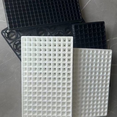 EPS50 160 120 200 242 Seedling Tray Foam Floating Nursery Tray