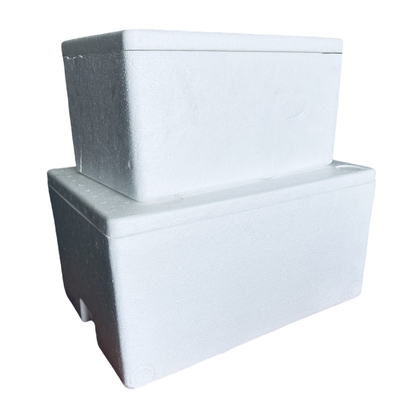 EPS Incubator Cold Chain Transport Foam Box Customization