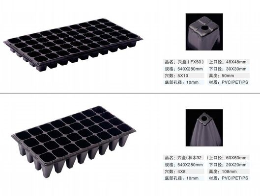 2mm Thick 200-Cell Plastic Seedling Tray - Aging Resistant and Durable for Forest Trees