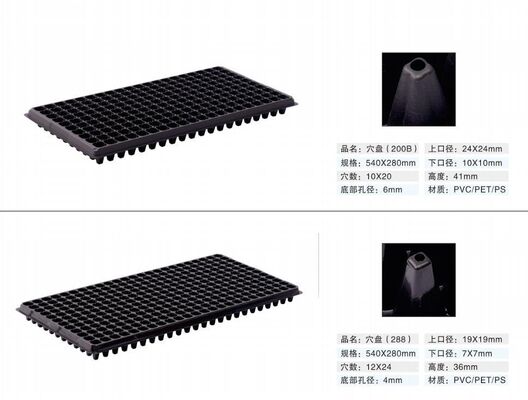 200-cell Plastic Seedling Tray - 2mm Thick and Aging Resistant for Durable Plant Propagation