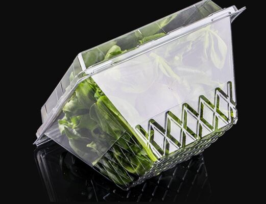 Customized Design Recyclable PET Blister Packaging with Heat Sealing for Transparent Fruit Packaging Box