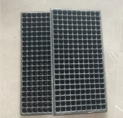 plant propagation tray,germination tray,seeding tray,cell seed tray,greenhouse tray,seed plug tray