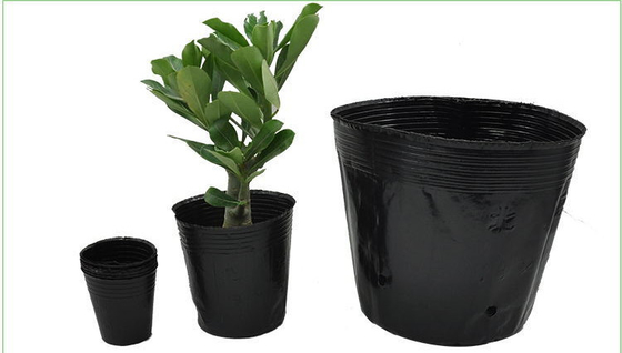 Hydroponic 12cm PS Plastic Nursery Pot 4L Light Weight Sweet Potato Plant Pot