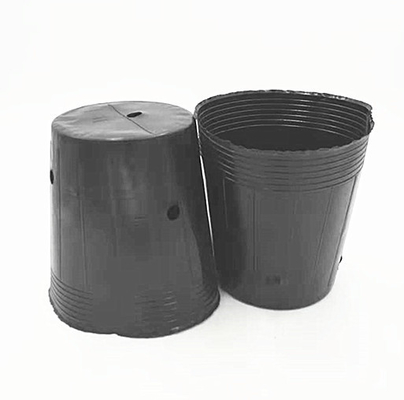 HDPE Plastic Nursery Pot Onion Seeds Growing Black Pots For Greenhouse