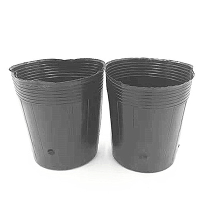 HDPE Plastic Nursery Pot Onion Seeds Growing Black Pots For Greenhouse
