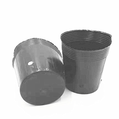 HDPE Plastic Nursery Pot Onion Seeds Growing Black Pots For Greenhouse