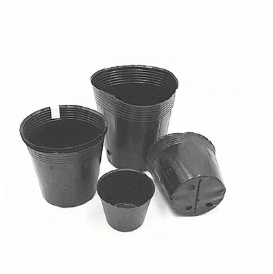 Wholesale Black Plastic Soft Blister Flower Seeds Pot For Tree
