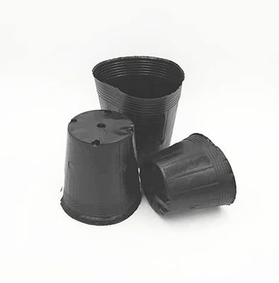 Wholesale Black Plastic Soft Blister Flower Seeds Pot For Tree