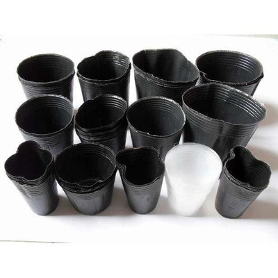 wholesale plastic  seedling tray , soft black pot  for Garden supplies