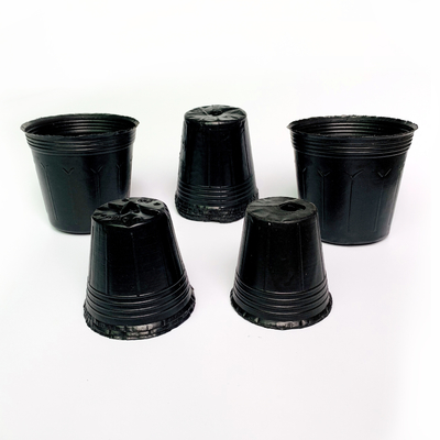 PE black nursery pot blow pots flower pot