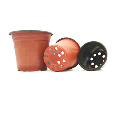 Bicolor Plastic Succulent Plants Flower Pot