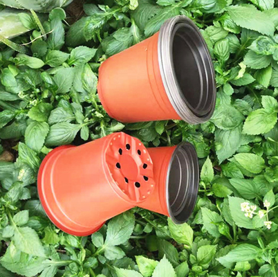 Bicolor Plastic Succulent Plants Flower Pot