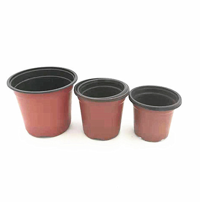 wholesale Two-color plastic flower pot for Orchid seeds
