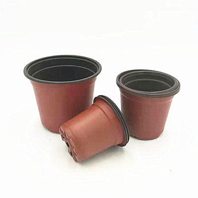 wholesale Two-color plastic flower pot for Orchid seeds