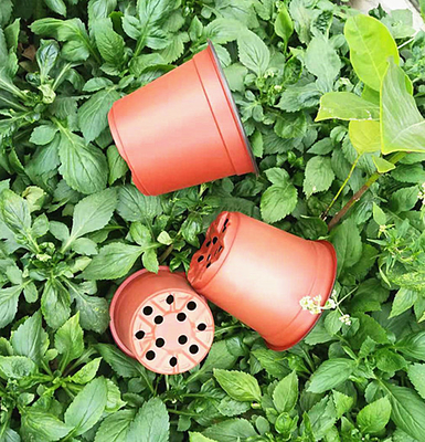 wholesale Two-color plastic flower pot for Orchid seeds