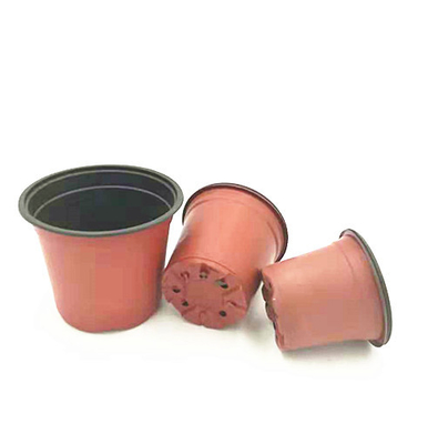 wholesale Two-color plastic flower pot for Orchid seeds
