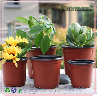 good quality plastic PP hot pepper/Chilly flower pot in low price