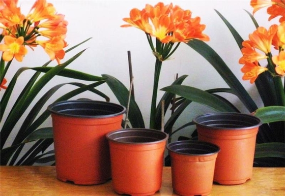 Hot Selling Round Box Soft Hydroponic Fresh Flower Pot Aging resistant