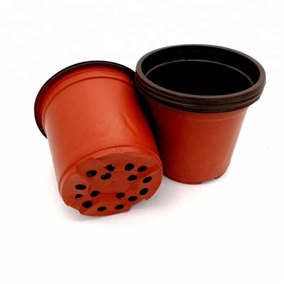 PP Sun  15cm Width Plastic Flower Pots 12 Drainage Holes