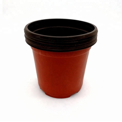 PP Sun  15cm Width Plastic Flower Pots 12 Drainage Holes