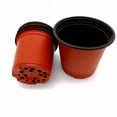 PP Sun  15cm Width Plastic Flower Pots 12 Drainage Holes