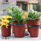 Lightweight 1 Gallon Plastic Flower Pots 18.5cm For Leek Seedling