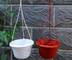 plastic hanging hook hanging flower pot on wall in room