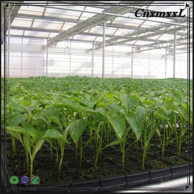Brand new 200 holes plastic seedling tray in custom design