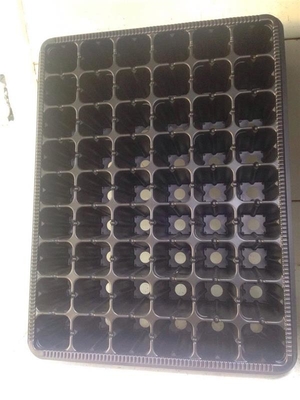 Degradable 105 Cells Hydroponic Plastic Seedling Tray For Gardening