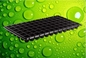 Degradable 105 Cells Hydroponic Plastic Seedling Tray For Gardening