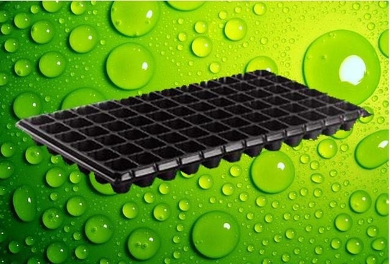 Degradable 105 Cells Hydroponic Plastic Seedling Tray For Gardening