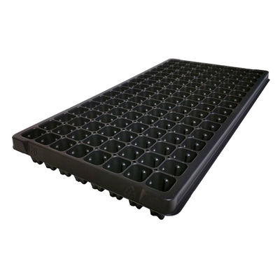 Plastic seedling trays in sydney seed starter tray For Pepper &amp; Tomatoes seeding