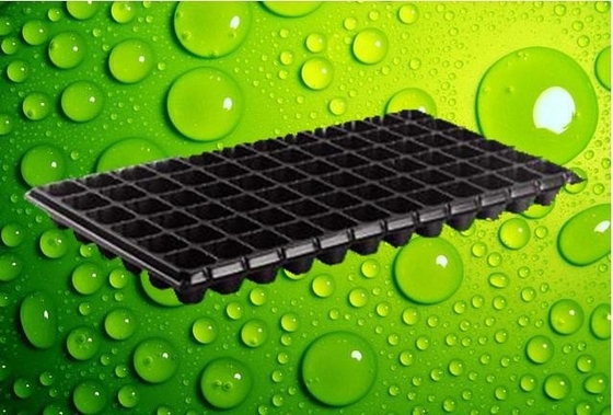 Plastic seedling trays in sydney seed starter tray For Pepper &amp; Tomatoes seeding