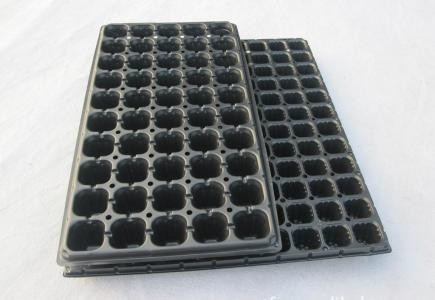 Square seeding plastic blister agriculture tray for flower and tree
