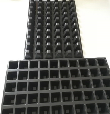 flower and tree seedlings growing plastic containers for outdoor planter