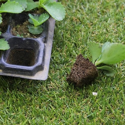 Plastic seeding tray with many kinds of holes for you to plant planters 128 holes seedling tray