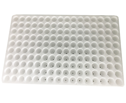 Floating EPS foam seedling tray 160 cells germination tray