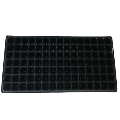 Incredible innovation in plastic growing trays