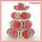 Cute 4 Tier PVC 0.8mm Small Macaron Tower Wedding Macaron Holder Display