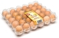 Eco Friendly 30 Count Egg Flats 32.5cm Plastic Blister Tray In PET Film