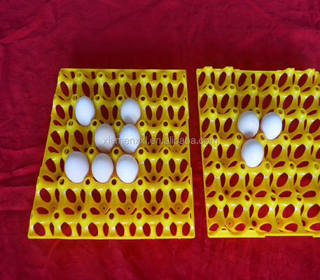eggs colorful yellow plastic blister thermoforming vacuum plates